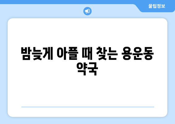 대전시 동구 용운동 24시간 토요일 일요일 휴일 공휴일 야간 약국