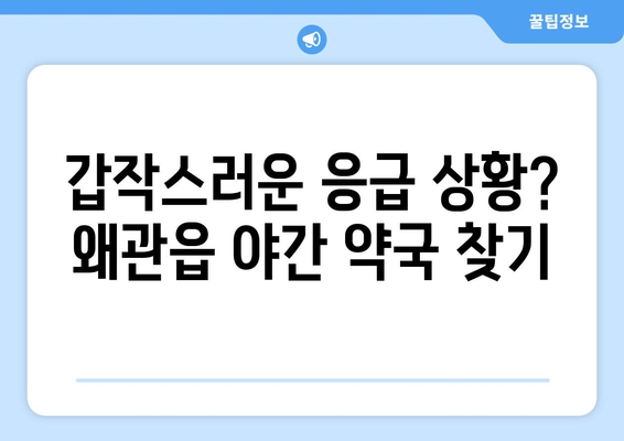 경상북도 칠곡군 왜관읍 24시간 토요일 일요일 휴일 공휴일 야간 약국