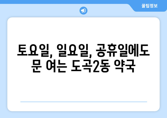 서울시 강남구 도곡2동 24시간 토요일 일요일 휴일 공휴일 야간 약국