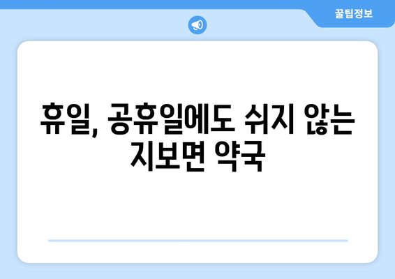 경상북도 예천군 지보면 24시간 토요일 일요일 휴일 공휴일 야간 약국