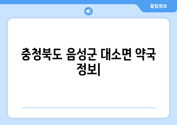 충청북도 음성군 대소면 24시간 토요일 일요일 휴일 공휴일 야간 약국