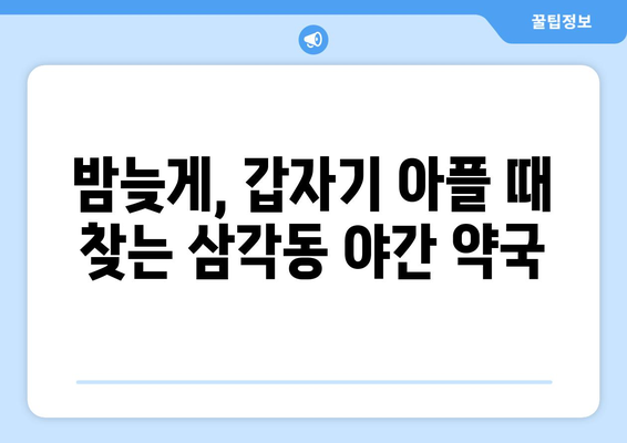 광주시 북구 삼각동 24시간 토요일 일요일 휴일 공휴일 야간 약국