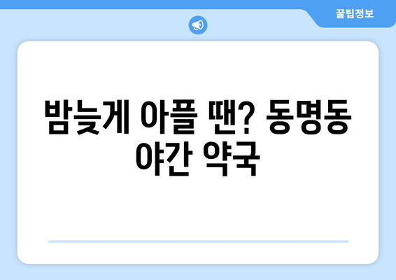 광주시 동구 동명동 24시간 토요일 일요일 휴일 공휴일 야간 약국