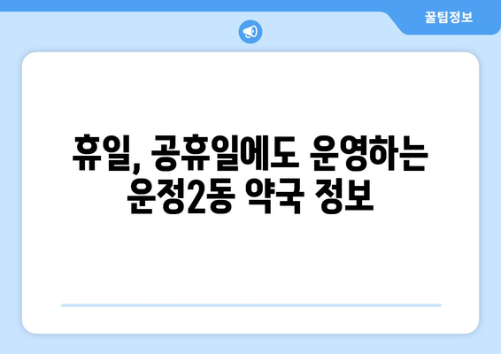 경기도 파주시 운정2동 24시간 토요일 일요일 휴일 공휴일 야간 약국