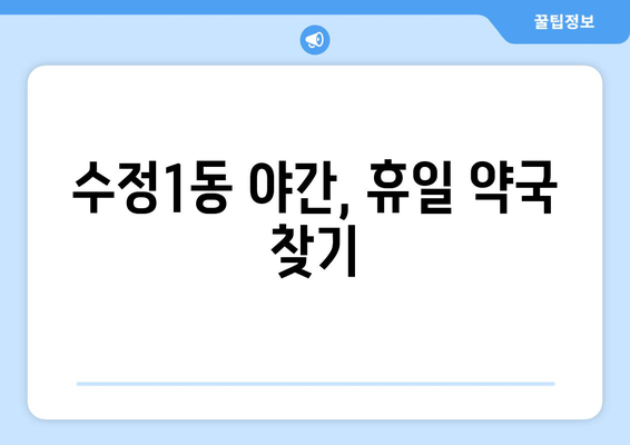 부산시 동구 수정1동 24시간 토요일 일요일 휴일 공휴일 야간 약국