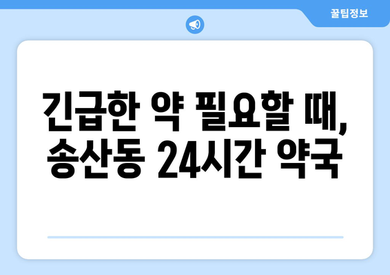 제주도 서귀포시 송산동 24시간 토요일 일요일 휴일 공휴일 야간 약국