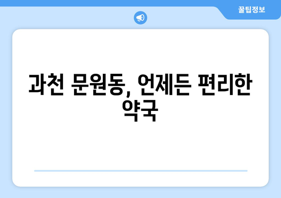 경기도 과천시 문원동 24시간 토요일 일요일 휴일 공휴일 야간 약국