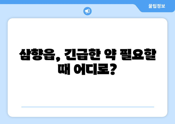 전라남도 무안군 삼향읍 24시간 토요일 일요일 휴일 공휴일 야간 약국