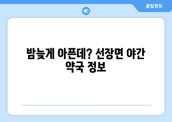 충청남도 아산시 선장면 24시간 토요일 일요일 휴일 공휴일 야간 약국