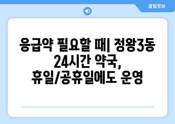 경기도 시흥시 정왕3동 24시간 토요일 일요일 휴일 공휴일 야간 약국