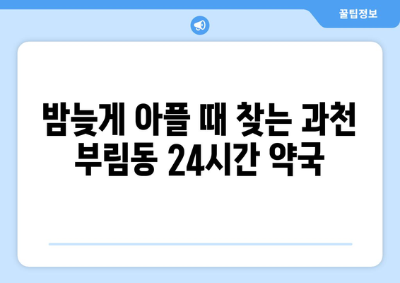 경기도 과천시 부림동 24시간 토요일 일요일 휴일 공휴일 야간 약국