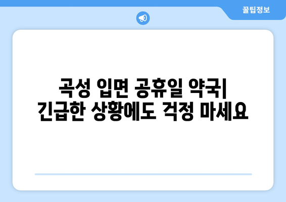 전라남도 곡성군 입면 24시간 토요일 일요일 휴일 공휴일 야간 약국