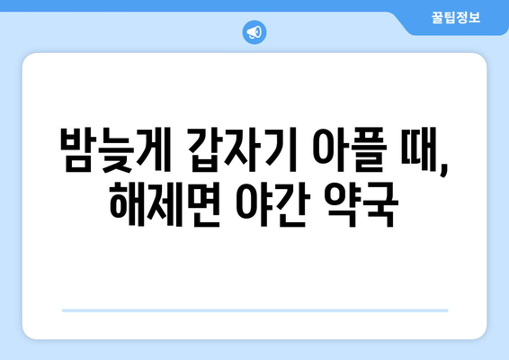 전라남도 무안군 해제면 24시간 토요일 일요일 휴일 공휴일 야간 약국