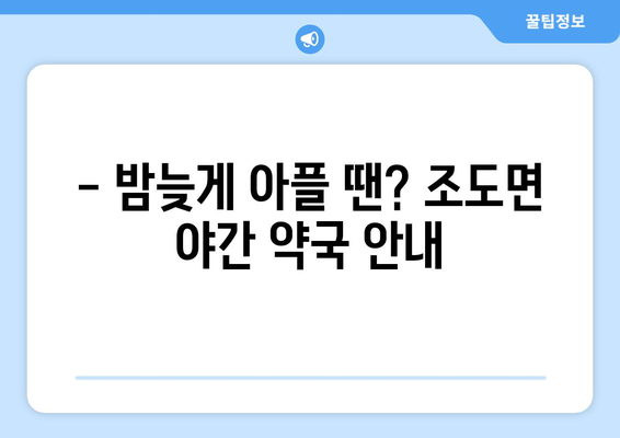 전라남도 진도군 조도면 24시간 토요일 일요일 휴일 공휴일 야간 약국