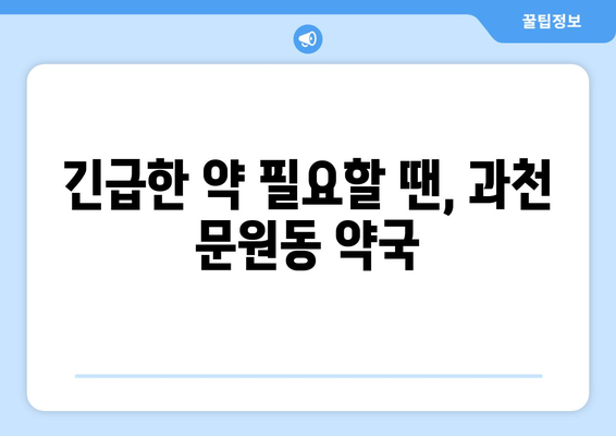 경기도 과천시 문원동 24시간 토요일 일요일 휴일 공휴일 야간 약국