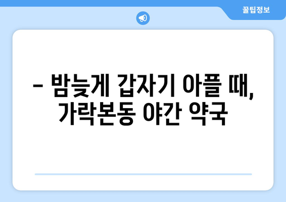 서울시 송파구 가락본동 24시간 토요일 일요일 휴일 공휴일 야간 약국