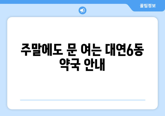 부산시 남구 대연6동 24시간 토요일 일요일 휴일 공휴일 야간 약국