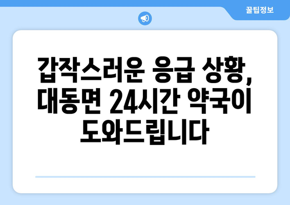 전라남도 함평군 대동면 24시간 토요일 일요일 휴일 공휴일 야간 약국