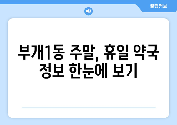 인천시 부평구 부개1동 24시간 토요일 일요일 휴일 공휴일 야간 약국