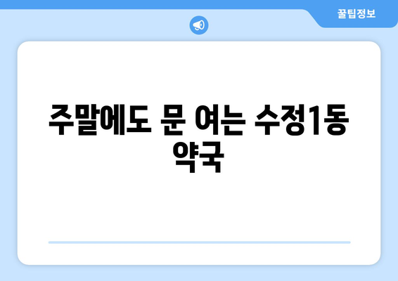 부산시 동구 수정1동 24시간 토요일 일요일 휴일 공휴일 야간 약국