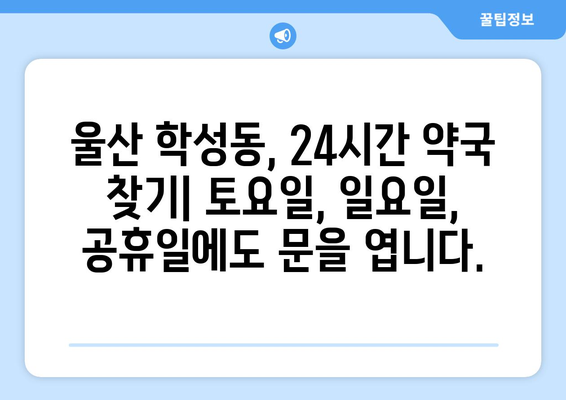 울산시 중구 학성동 24시간 토요일 일요일 휴일 공휴일 야간 약국