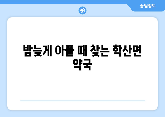 전라남도 영암군 학산면 24시간 토요일 일요일 휴일 공휴일 야간 약국