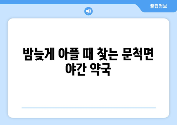 전라남도 구례군 문척면 24시간 토요일 일요일 휴일 공휴일 야간 약국