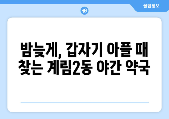 광주시 동구 계림2동 24시간 토요일 일요일 휴일 공휴일 야간 약국