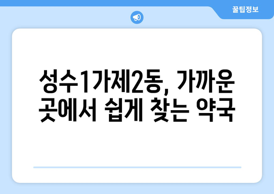 서울시 성동구 성수1가제2동 24시간 토요일 일요일 휴일 공휴일 야간 약국