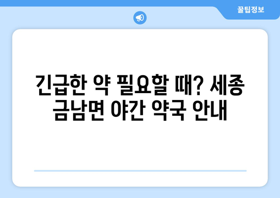 세종시 세종특별자치시 금남면 24시간 토요일 일요일 휴일 공휴일 야간 약국