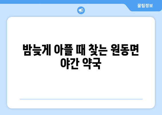 경상남도 양산시 원동면 24시간 토요일 일요일 휴일 공휴일 야간 약국