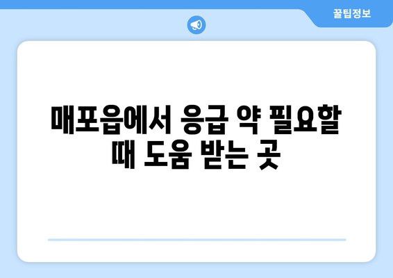 충청북도 단양군 매포읍 24시간 토요일 일요일 휴일 공휴일 야간 약국