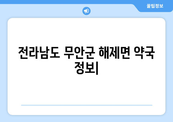 전라남도 무안군 해제면 24시간 토요일 일요일 휴일 공휴일 야간 약국