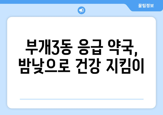 인천시 부평구 부개3동 24시간 토요일 일요일 휴일 공휴일 야간 약국