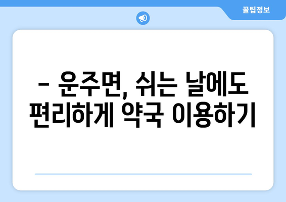 전라북도 완주군 운주면 24시간 토요일 일요일 휴일 공휴일 야간 약국