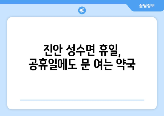 전라북도 진안군 성수면 24시간 토요일 일요일 휴일 공휴일 야간 약국