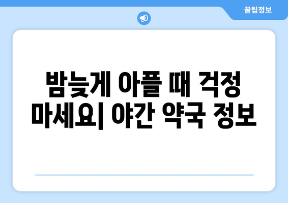 경기도 화성시 동탄2동 24시간 토요일 일요일 휴일 공휴일 야간 약국