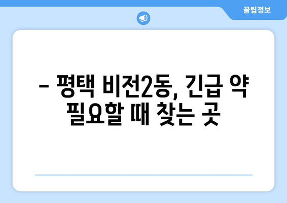 경기도 평택시 비전2동 24시간 토요일 일요일 휴일 공휴일 야간 약국