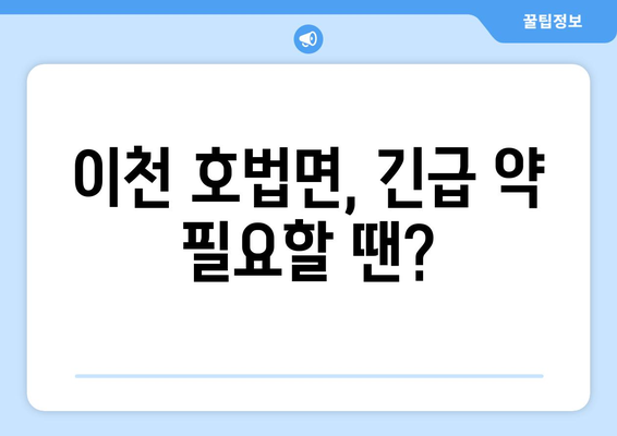 경기도 이천시 호법면 24시간 토요일 일요일 휴일 공휴일 야간 약국