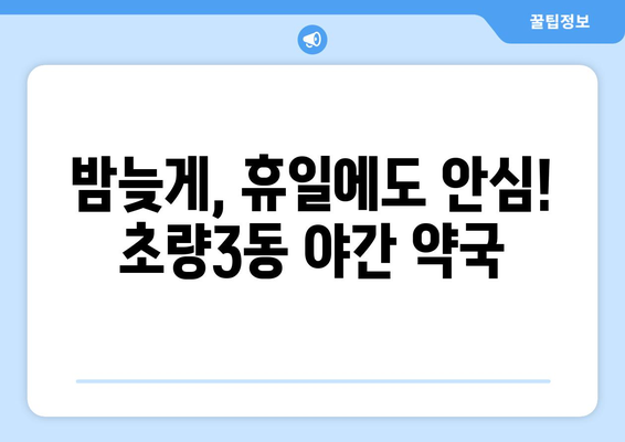 부산시 동구 초량3동 24시간 토요일 일요일 휴일 공휴일 야간 약국