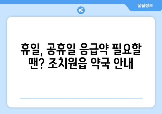 세종시 세종특별자치시 조치원읍 24시간 토요일 일요일 휴일 공휴일 야간 약국