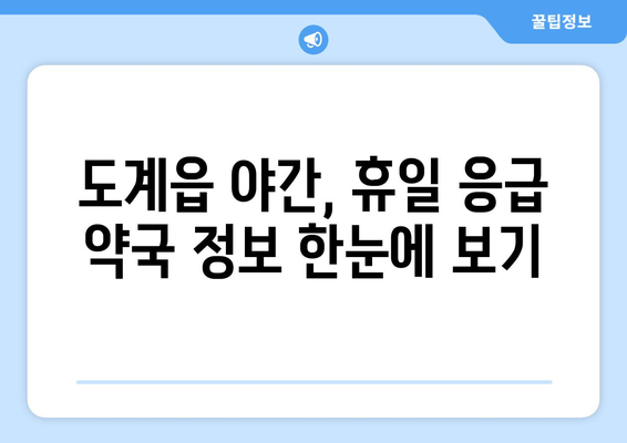 강원도 삼척시 도계읍 24시간 토요일 일요일 휴일 공휴일 야간 약국