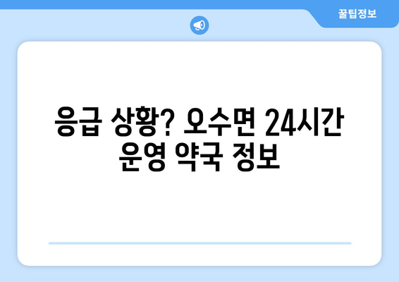 전라북도 임실군 오수면 24시간 토요일 일요일 휴일 공휴일 야간 약국