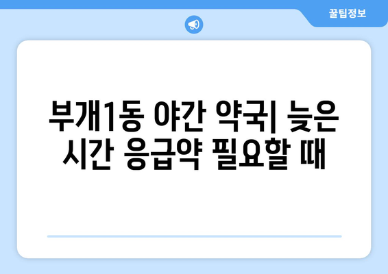 인천시 부평구 부개1동 24시간 토요일 일요일 휴일 공휴일 야간 약국