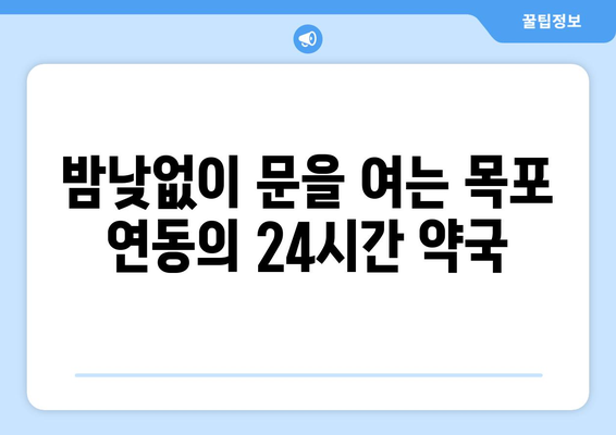 전라남도 목포시 연동 24시간 토요일 일요일 휴일 공휴일 야간 약국