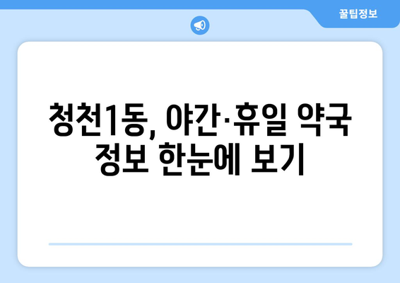 인천시 부평구 청천1동 24시간 토요일 일요일 휴일 공휴일 야간 약국