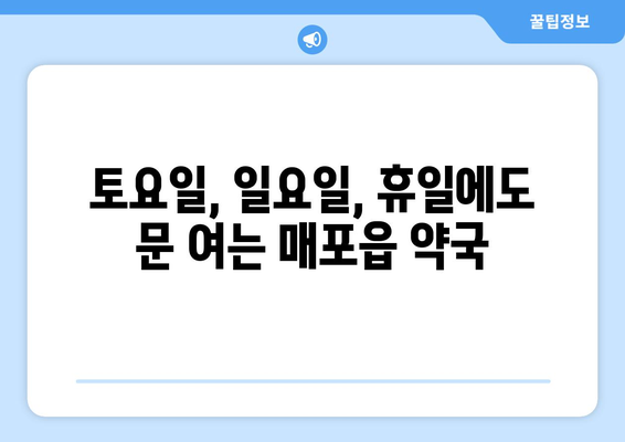 충청북도 단양군 매포읍 24시간 토요일 일요일 휴일 공휴일 야간 약국