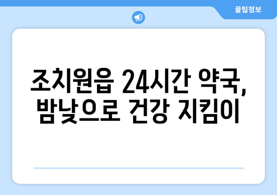 세종시 세종특별자치시 조치원읍 24시간 토요일 일요일 휴일 공휴일 야간 약국