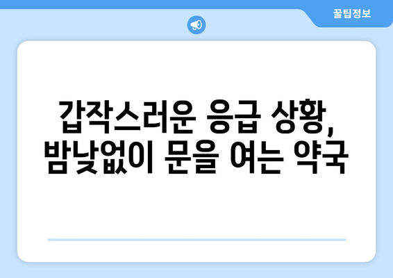 대구시 달서구 월성2동 24시간 토요일 일요일 휴일 공휴일 야간 약국