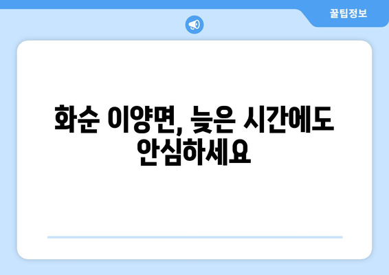 전라남도 화순군 이양면 24시간 토요일 일요일 휴일 공휴일 야간 약국